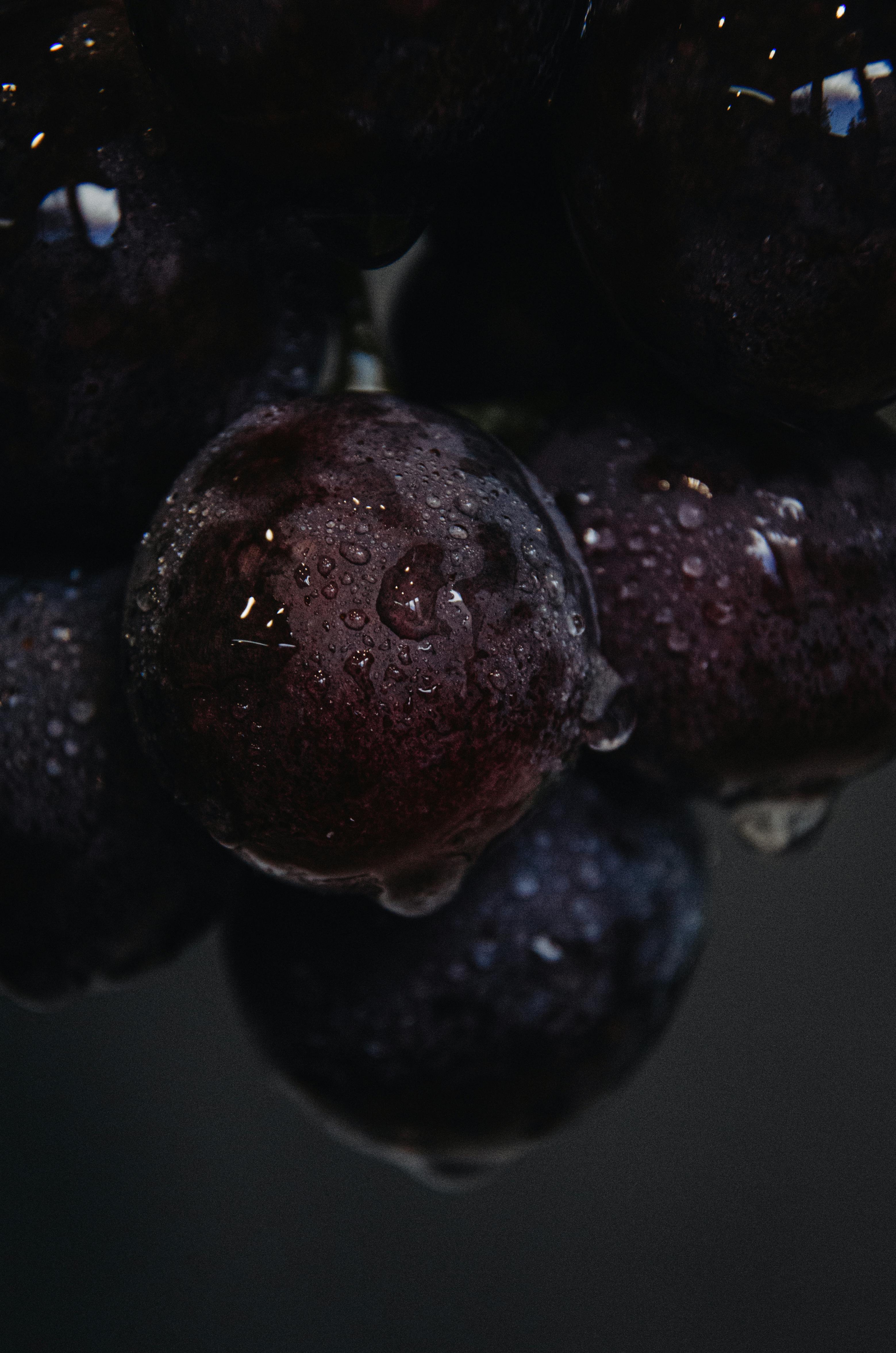 Resveratrol