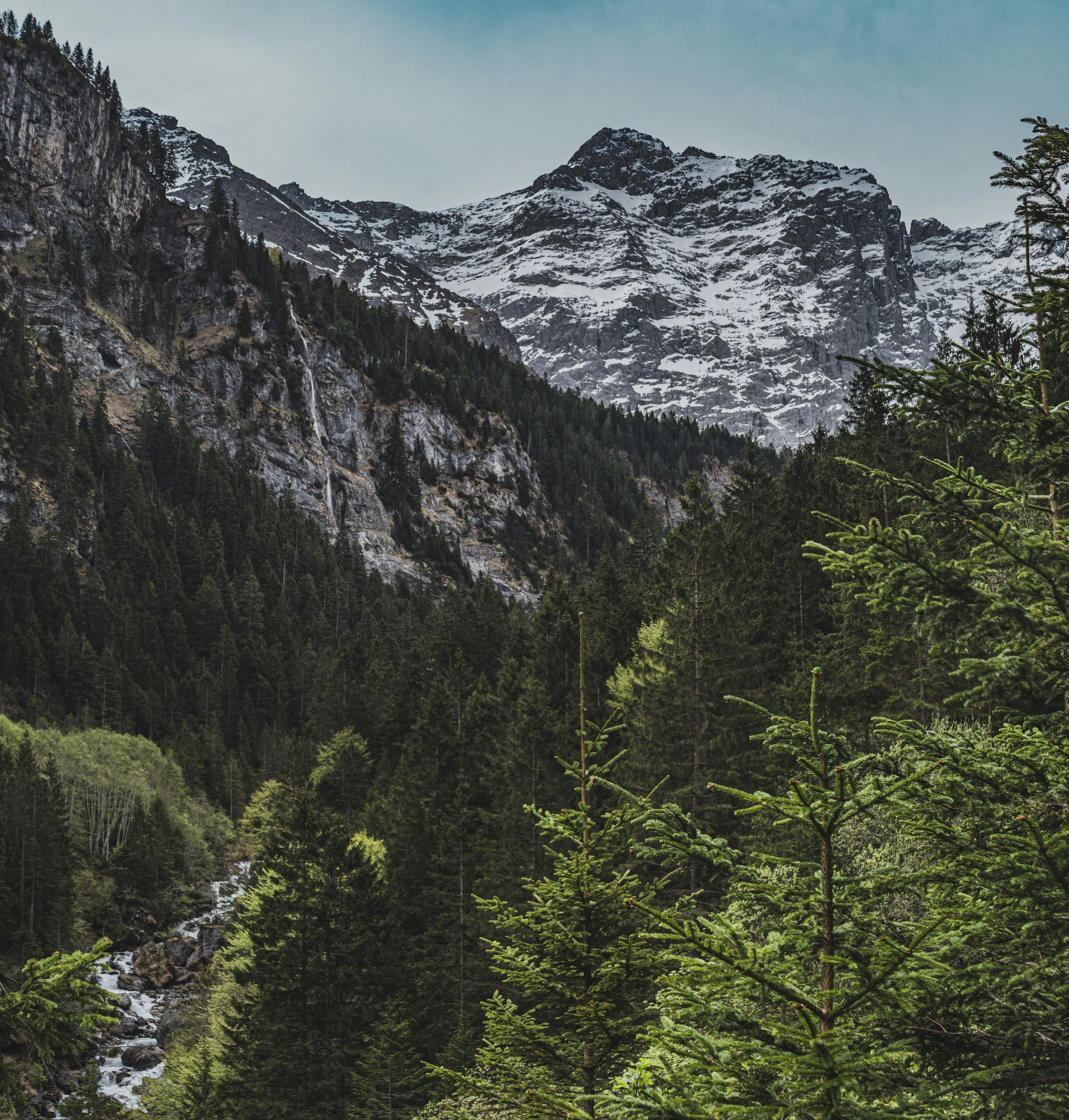 Swiss Alps